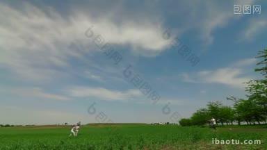年轻的一家人在田野里玩<strong>风筝</strong>